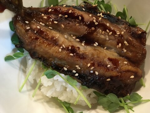 いわし蒲焼き丼